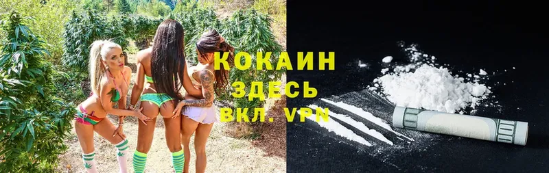 COCAIN Колумбийский  где купить наркоту  Жуков 