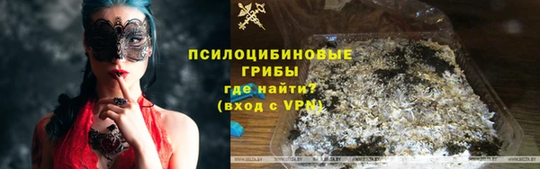 ПСИЛОЦИБИНОВЫЕ ГРИБЫ Лихославль