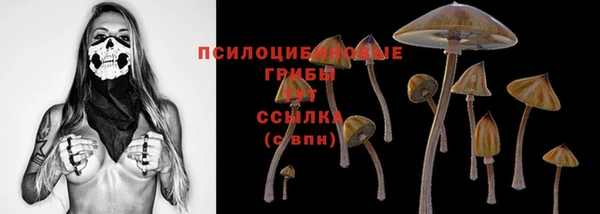 ПСИЛОЦИБИНОВЫЕ ГРИБЫ Лихославль