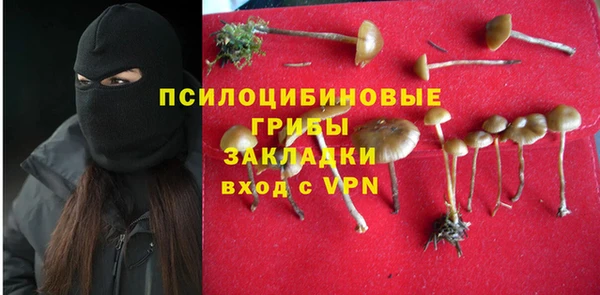 ПСИЛОЦИБИНОВЫЕ ГРИБЫ Лихославль