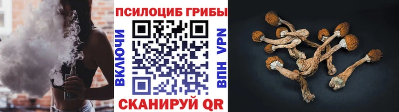 где найти наркотики  Жуков  Галлюциногенные грибы Magic Shrooms 